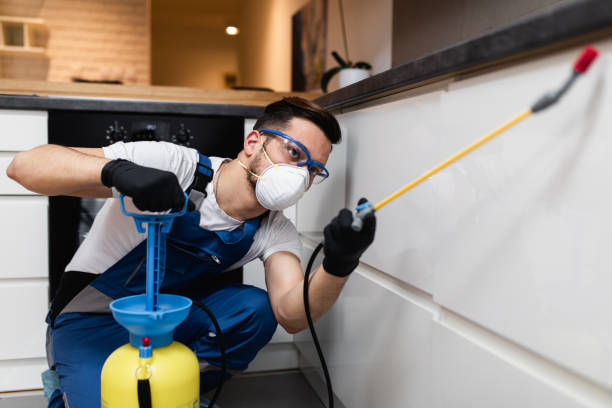 Best Pest Control for Businesses  in Glens Falls, NY