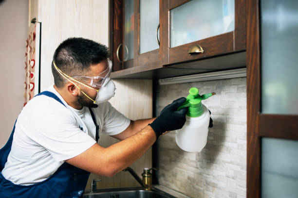 Flea Control Services in Glens Falls, NY