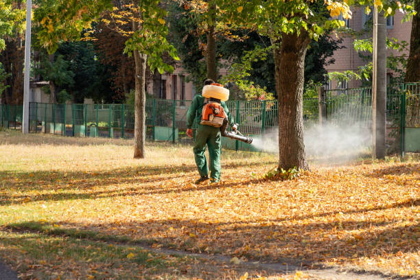 Best Bird Control  in Glens Falls, NY