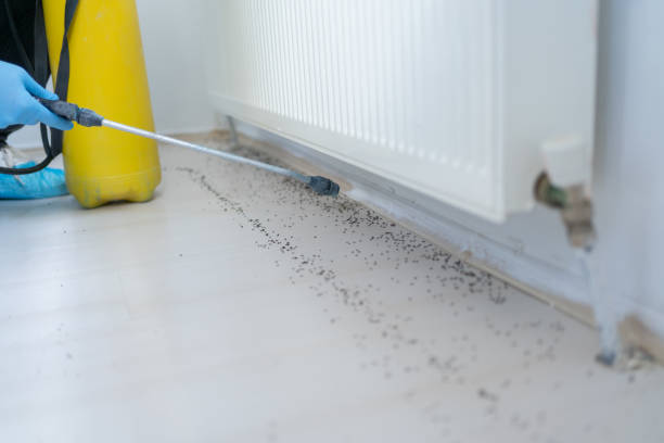 Best Wildlife Control Services  in Glens Falls, NY