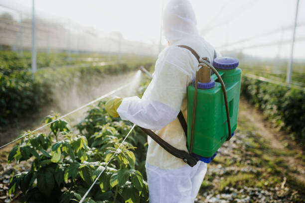 Best Wasp Removal Services  in Glens Falls, NY